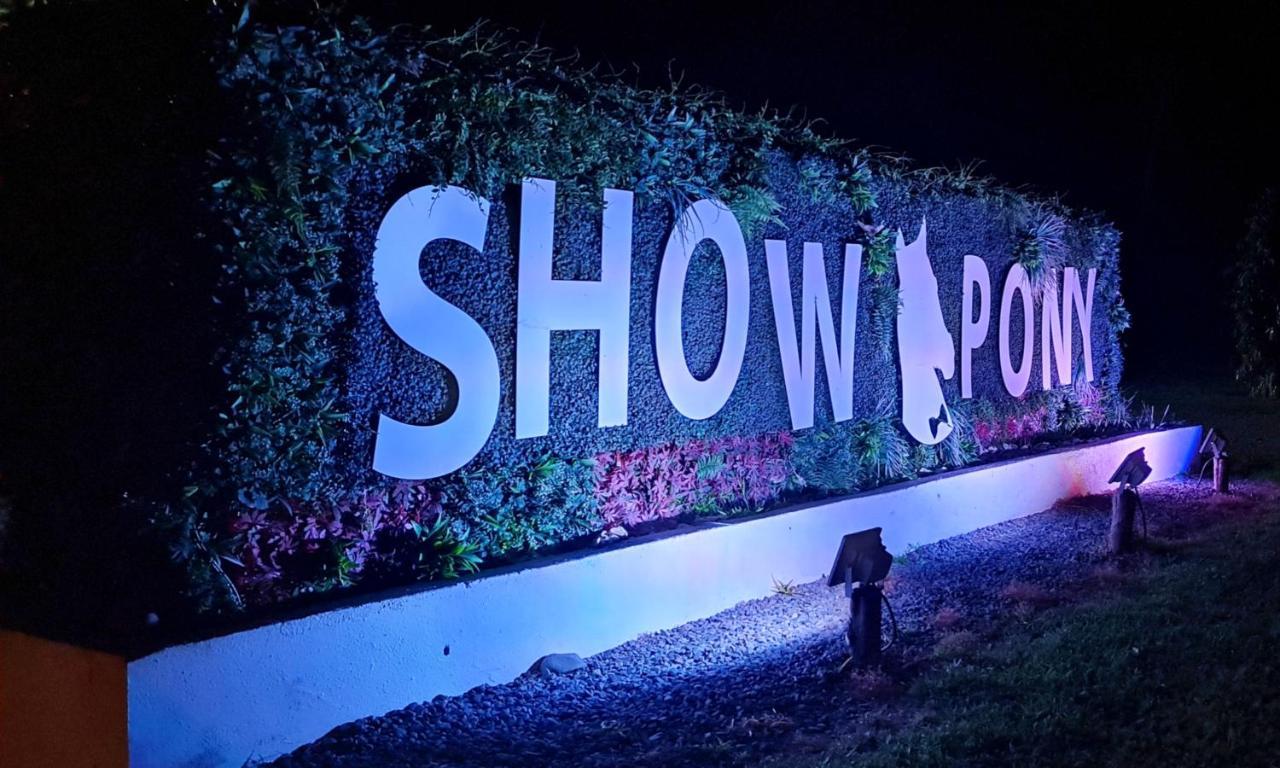 Show Pony Beach Resort And Suites Las Lajas  Esterno foto