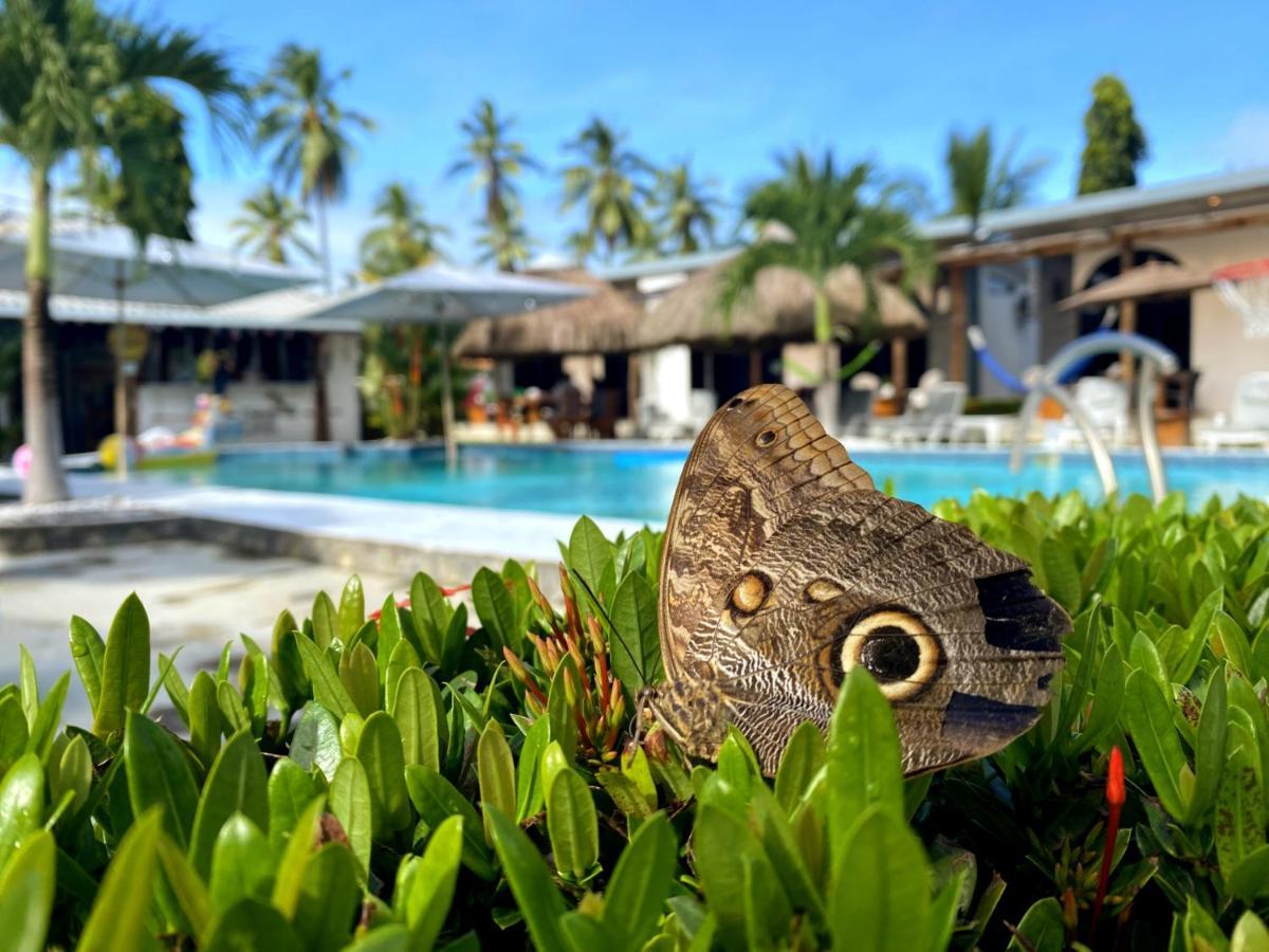 Show Pony Beach Resort And Suites Las Lajas  Esterno foto