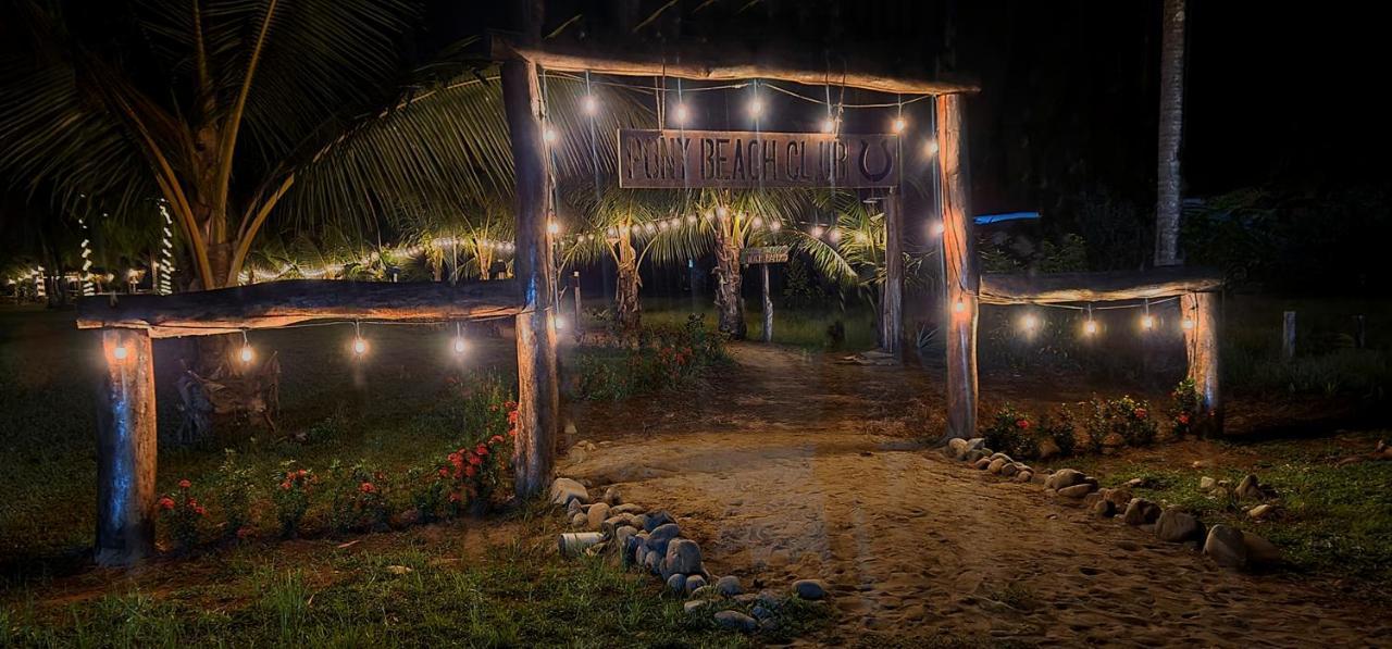 Show Pony Beach Resort And Suites Las Lajas  Esterno foto