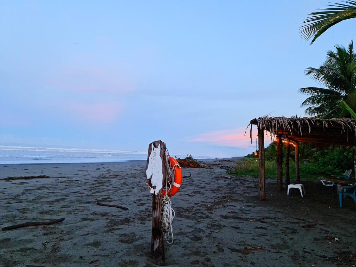 Show Pony Beach Resort And Suites Las Lajas  Esterno foto