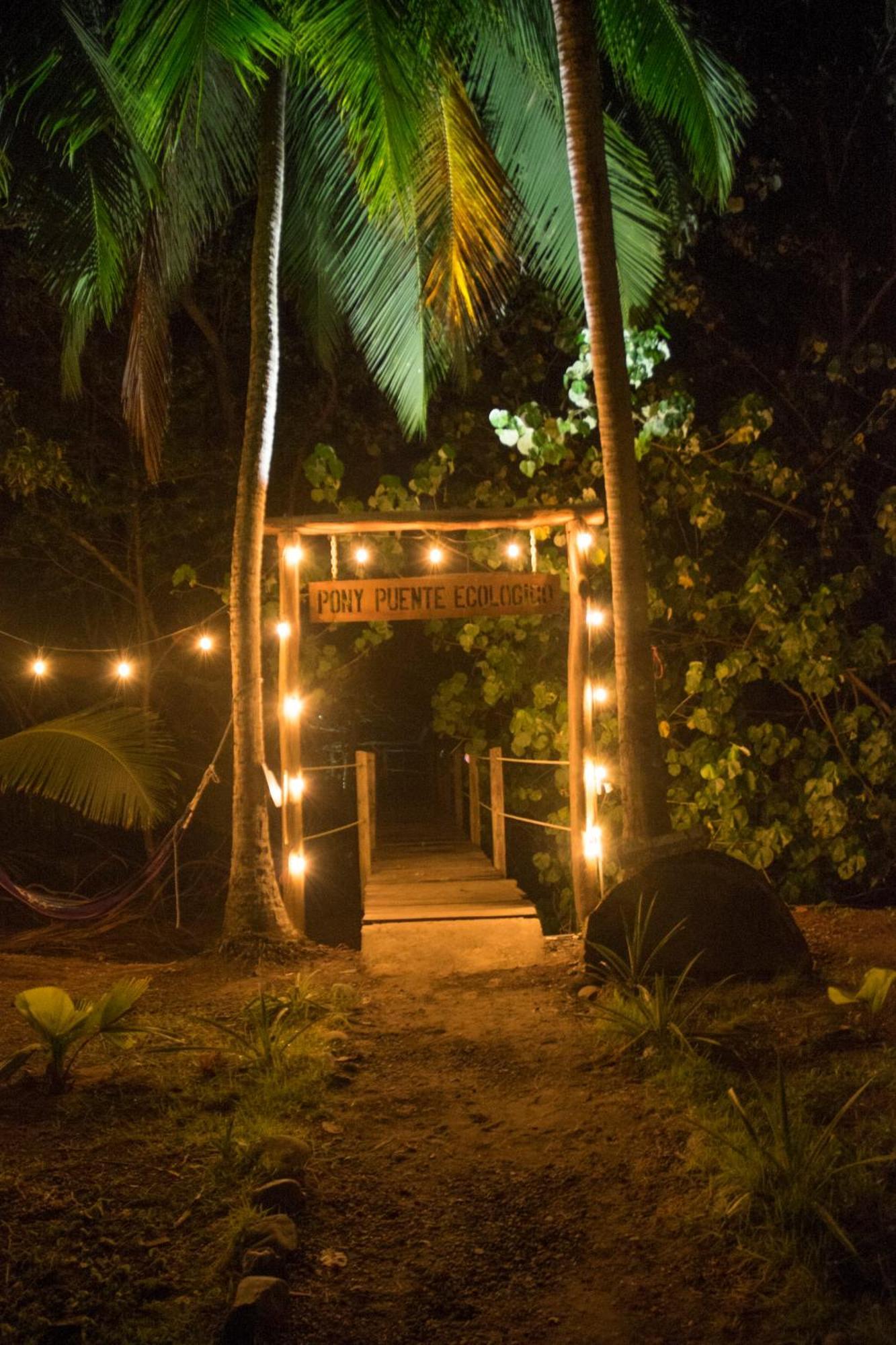 Show Pony Beach Resort And Suites Las Lajas  Esterno foto
