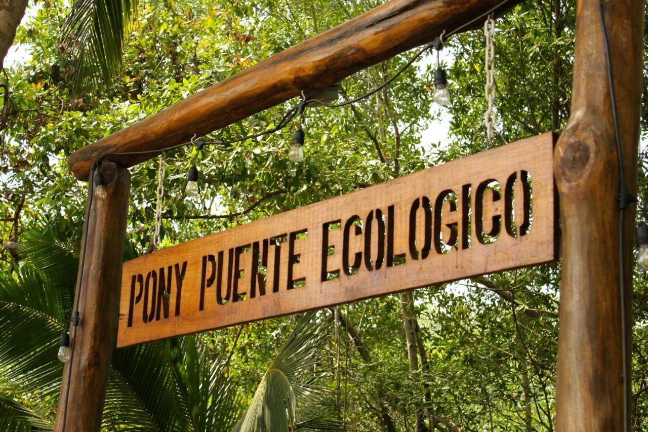 Show Pony Beach Resort And Suites Las Lajas  Esterno foto